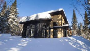 CHALET MISTA - Charlevoix - Repère de ski moderne en nature